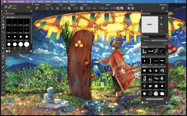 best software for drawing tablets coral painter